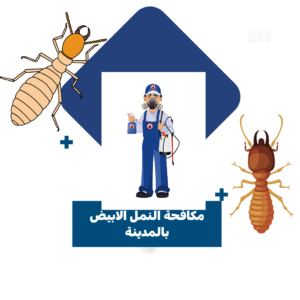 افضل مؤسسه لمكافحة الحشرات بالمدينة