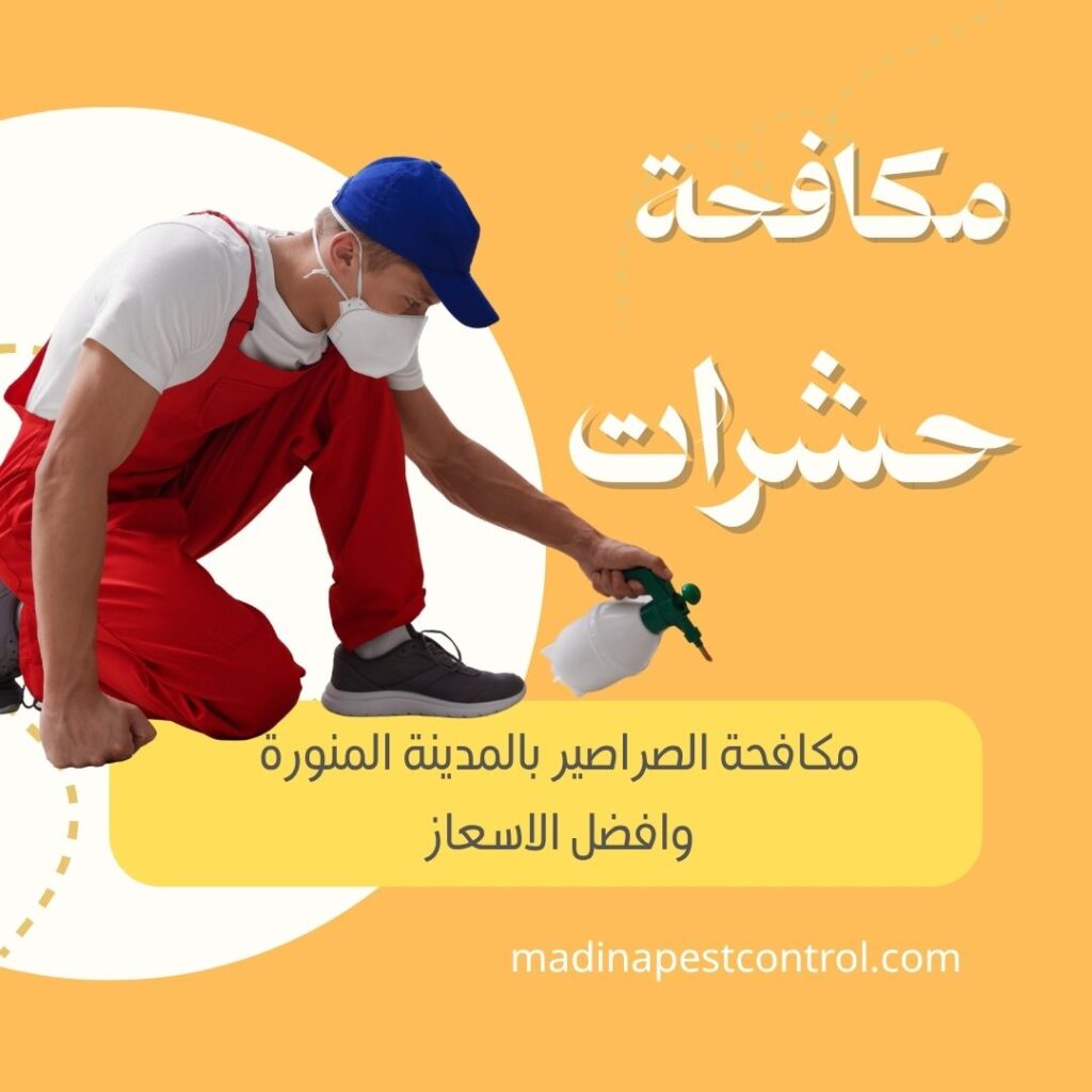 مكافحة صراصير بالمدينة المنورة