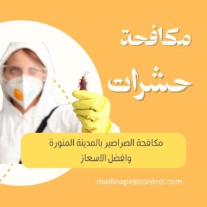شركة مكافحة صراصير بالمدينة المنورة بافضل سعر خصم 40%