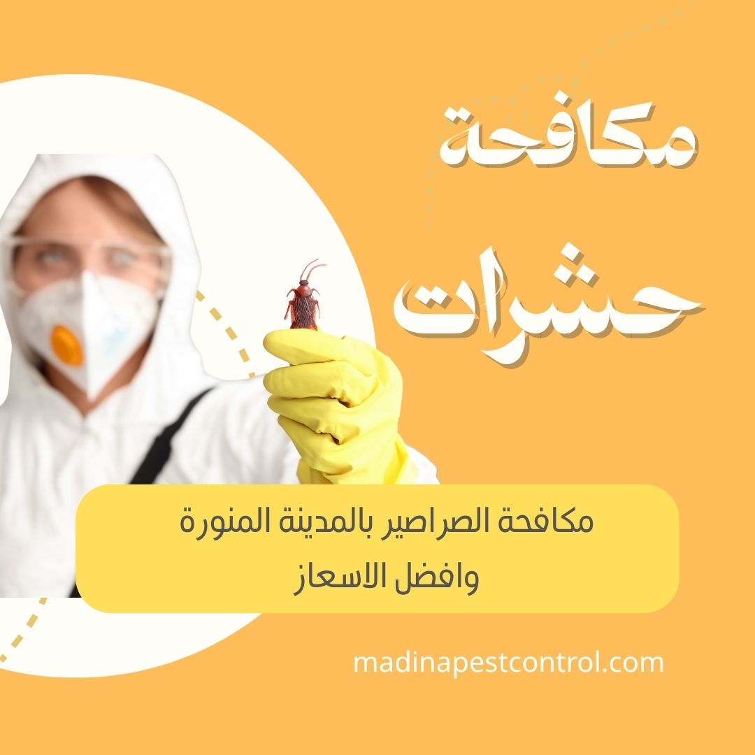 افضل شركة مكافحة صراصير بالمدينة المنورة