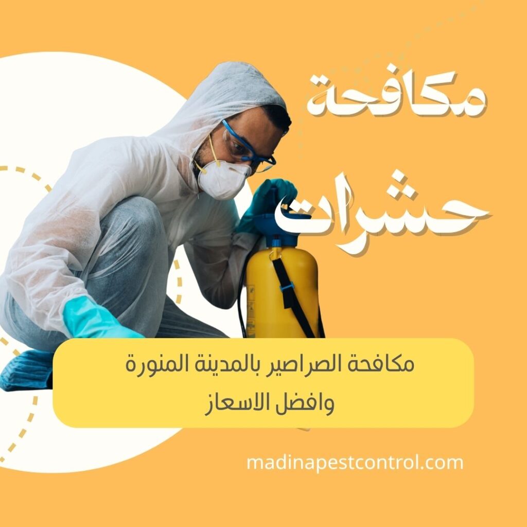 مكافحة صراصير بالمدينة المنورة بخصم 40%