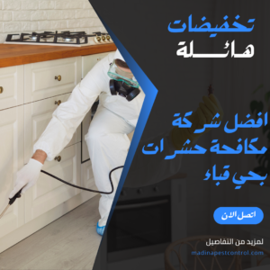مكافحة حشرات بحي قباء