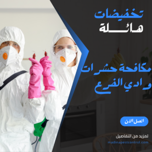 مكافحة حشرات