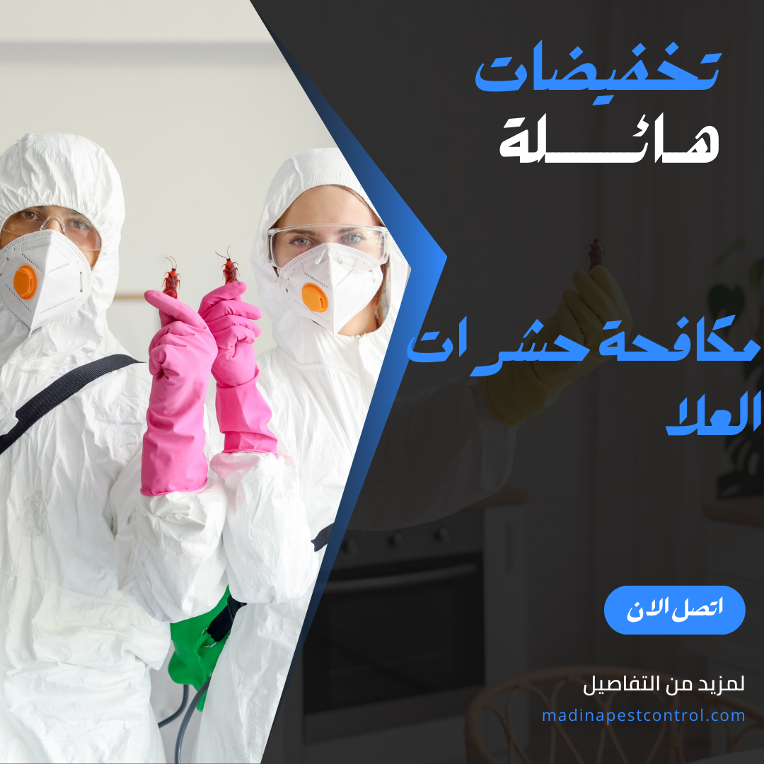 مكافحة الحشرات