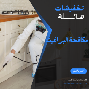 مكافحة البراغيث