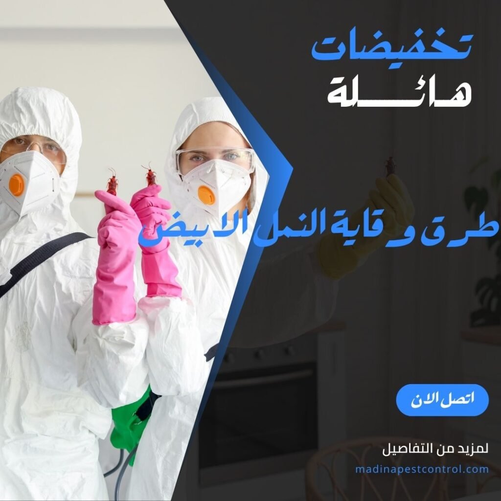 مكافحة الحشرات والوقاية