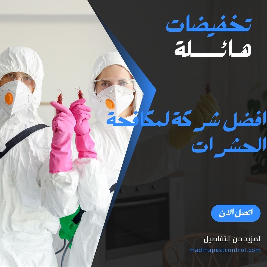 افضل شركة لمكافحة الحشرات